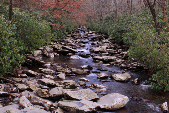 Hiking Through the Mountain Woods we Found a Small Rocky River