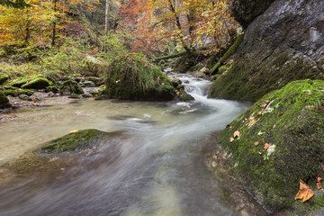 Les Gorges de Covatannaz en automne