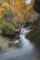 Les Gorges de Covatannaz en automne