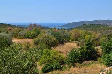 Panoramic landscape of green hills overgrown with lush trees and sea horizon