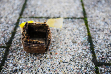 Firecracker on New Year's morning