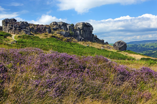 Cow and Calf rocks, Ilkley Moor, Yorkshire, England