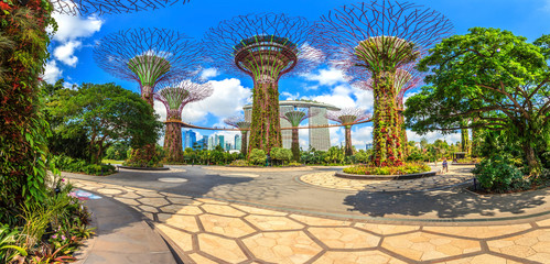 Panoramaaufnahme der Skyline von Singapur aus den Gardens by the Bay mit Supertrees fotografiert...