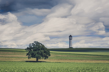 Un arbre solitaire et un château d'eau dans un champ et nuages en timestacking