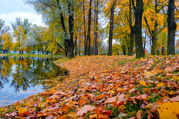autumn landscape city Park