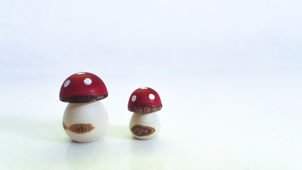 Two woody toadstool on the white background