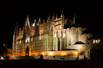 Night view of Palma de Mallorca Cathedral, La Seu, from Parc de la Mar. Palma, Majorca, Spain