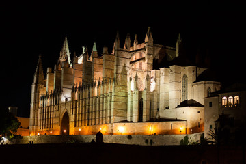 Fototapeta na wymiar Night view of Palma de Mallorca Cathedral, La Seu, from Parc de la Mar. Palma, Majorca, Spain