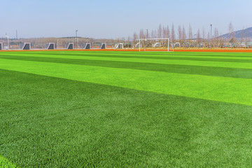 Fototapeta premium Football field green lawn