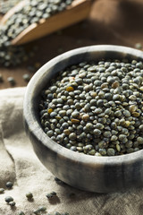 Dry Green Organic French Lentils