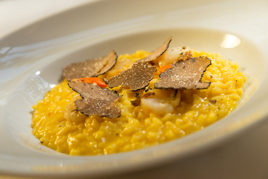 Risotto With Fresh Truffles, Restaurant Croatia