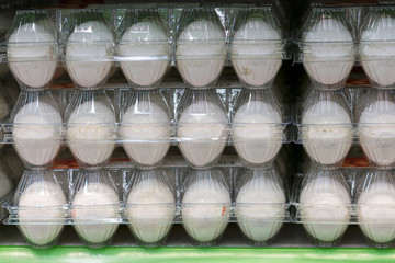 White eggs in transparent trays