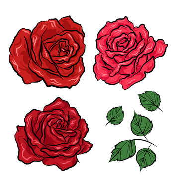 Hand drawn roses and leaves isolated on white background. Vector illustration in tattoo style.