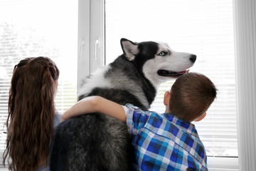 Cute little children with Husky dog near window at home
