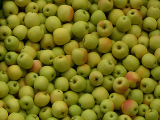Äpfel Golden Delicious nass