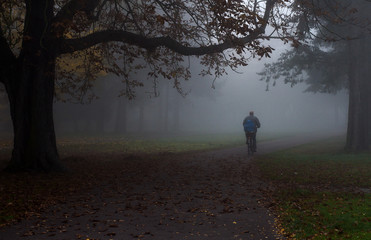Herbststimmung im Nebel