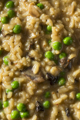 Homemade Savory Mushroom Risotto