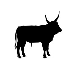 Silhouette of ox.