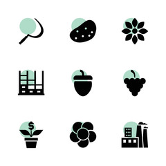 Plant icons. vector collection filled plant icons set.