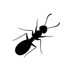 Ant sign black on white