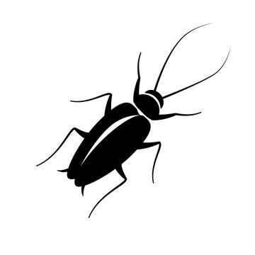 cockroach sign black on white background