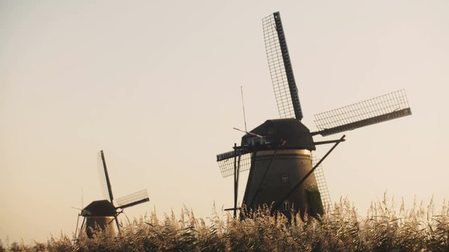 4K Two idyllic Dutch rustic windmills in a field. Netherlands. Amazing peace and quiet with light breeze and clear sky.