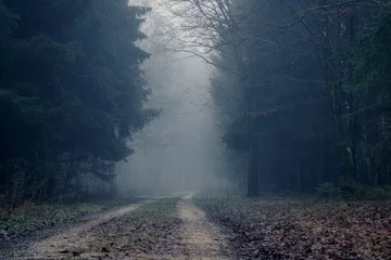 Foto op Plexiglas Foggy road in the dark, misty forest at late autumn. Background, illustration concept. © Gaschwald