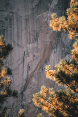 El Capitan Granite Face, Yosemite National Park