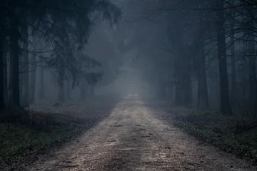 Zelfklevend Fotobehang Mistige weg in het donkere, mistige bos in de late herfst. Achtergrond, illustratieconcept. © Gaschwald