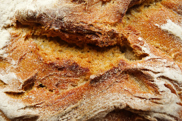Bread texture, close up view.