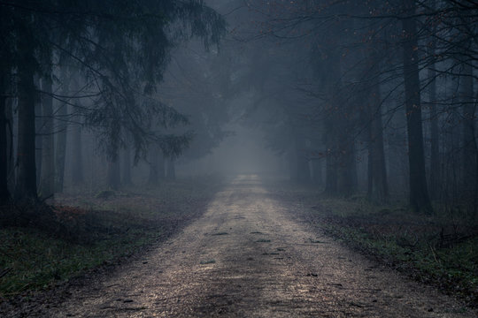 Fototapeta Foggy road in the dark, misty forest at late autumn. Background, illustration concept.
