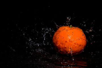 Mandarin water splash in black
