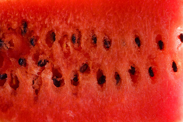 red water mellon