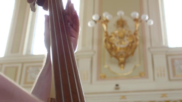 Close up of a man playing a double bass 