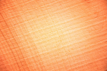 raw wooden transverse tree texture