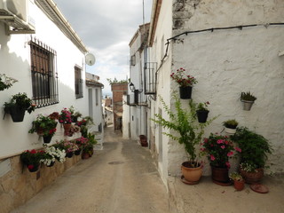 Fototapeta na wymiar Golondrinas al vuelo en calle de Iznatoraf,pueblo historico de Jaén, Andalucía (España) junto a Villanueva del Arzobispo, en la comarca de las Villas.
