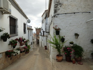 Fototapeta premium Golondrinas al vuelo en calle de Iznatoraf,pueblo historico de Jaén, Andalucía (España) junto a Villanueva del Arzobispo, en la comarca de las Villas.