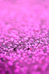 pink blurred background