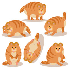 vector illustration of cat in different poses set in white background