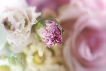 Bud of carnation on a gently pastel background of a bouquet of flowers