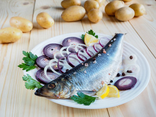 Appetizing salted herring fillet with onion, lemon and spices on the plate.
