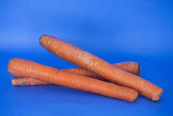 Store bought carrots are shown on a blue background