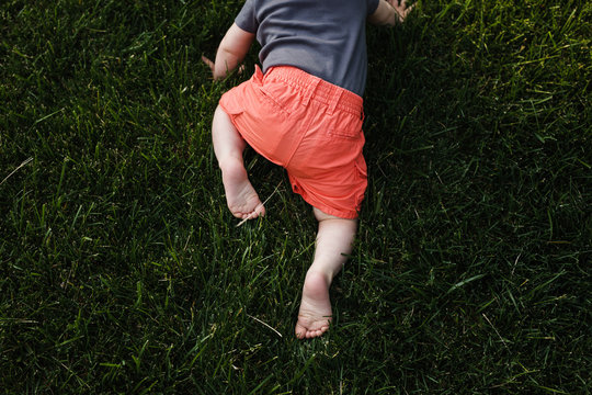 Overhead Of A Baby Crawling In The Grass