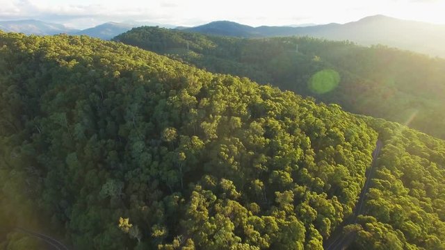 Forward flight over forested hills in Australian alps at sunset