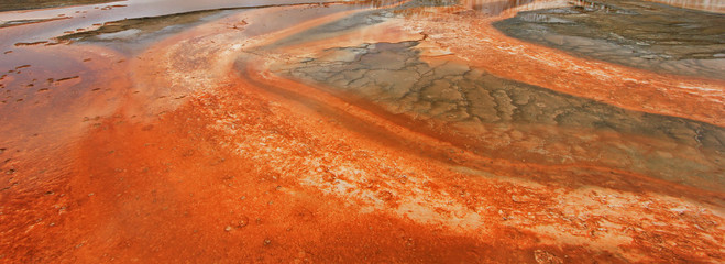 Nice colorful pattern near the Grand Prismatic Spring in Yellowstone National Park, Wyoming, USA