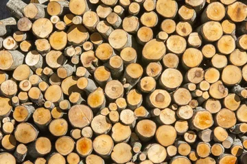 Möbelaufkleber firewood © Tereze