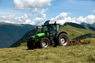 Obraz premium Heuernte mit Heuwender