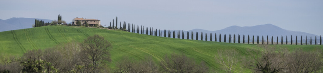 Fototapeta na wymiar tuscany landscape Italy