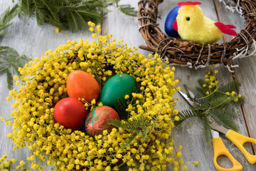 Fototapeta na wymiar Osterfest mit Eiern, Küken und einen Nest aus Mimosen