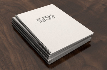 Bound Annual Report Booklet Pile